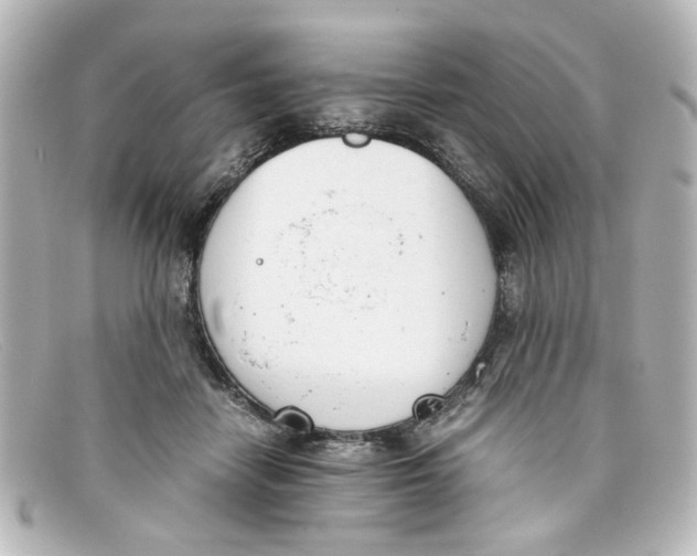 X0000098140458200805081024