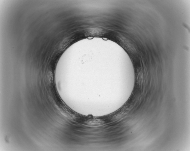 X0000098140459200805081024