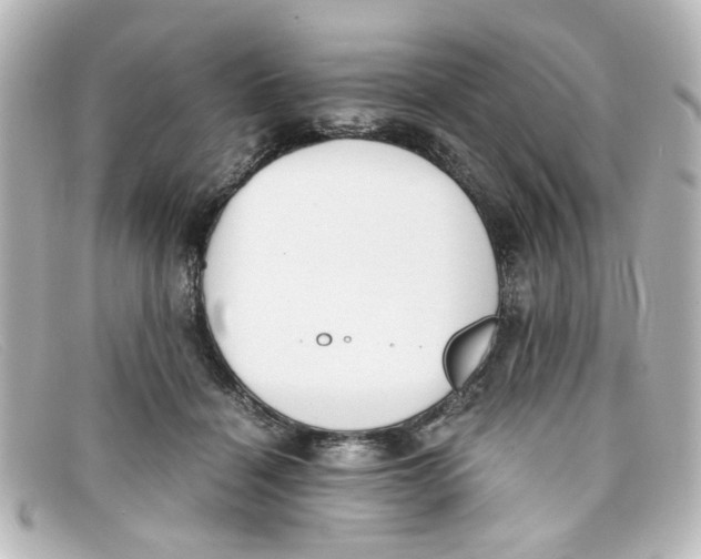 X0000098140460200805081024