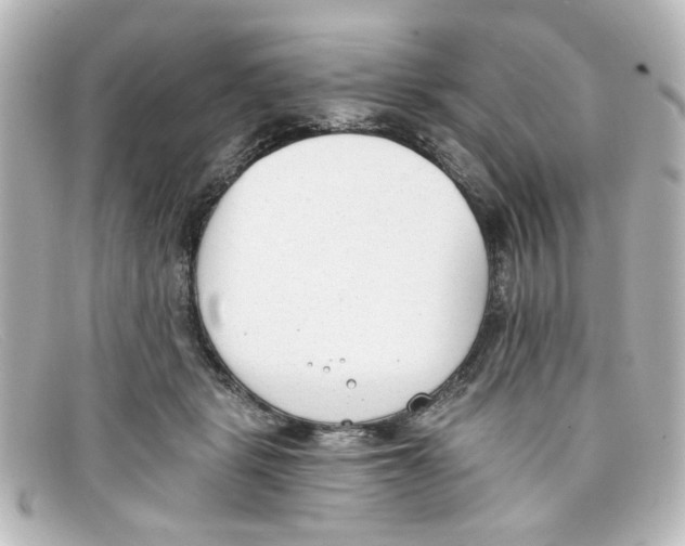 X0000098140461200805081024