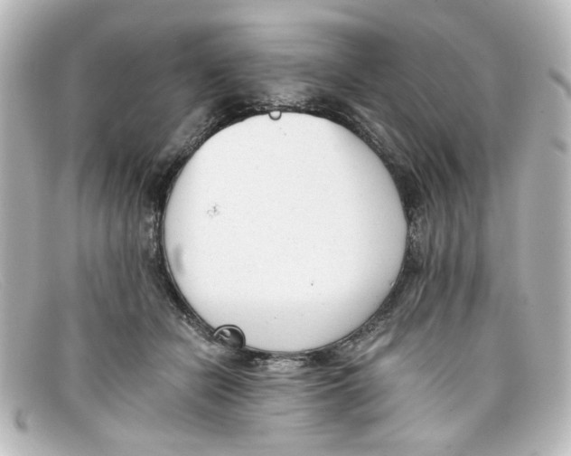 X0000098140462200805081024