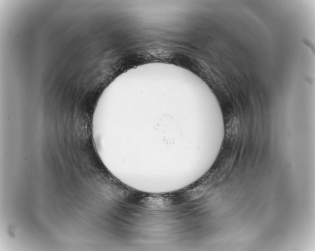 X0000098140464200805081024