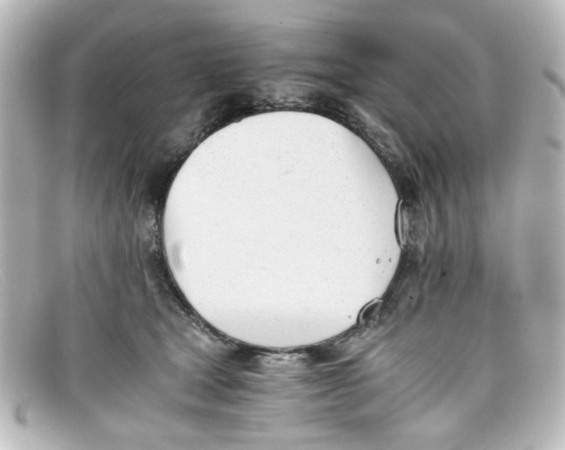 X0000098140465200805081024