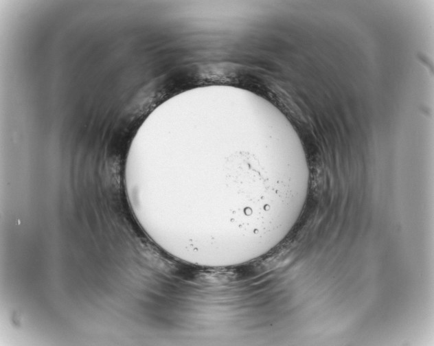 X0000098140466200805081024