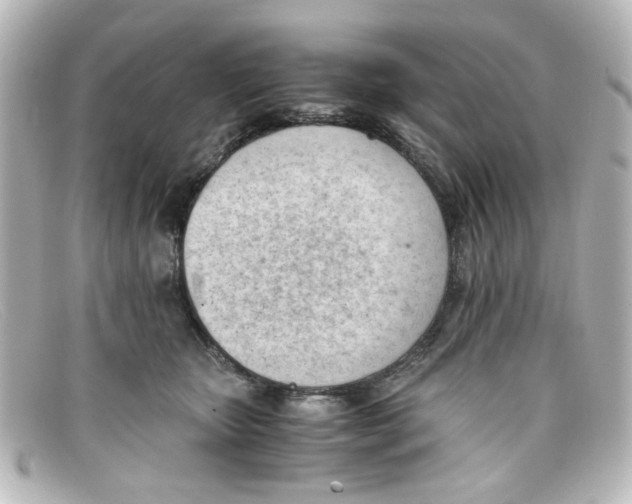 X0000098140467200805081024