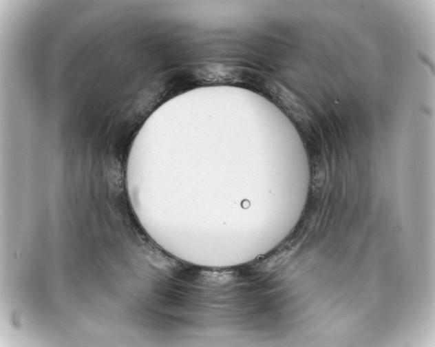 X0000098140469200805081024