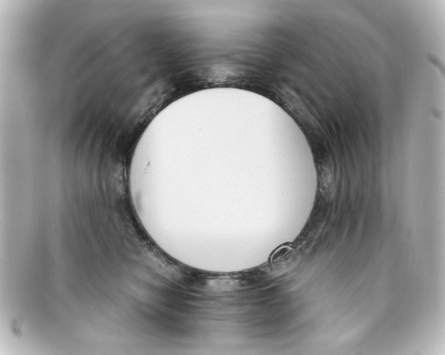 X0000098140470200805081024