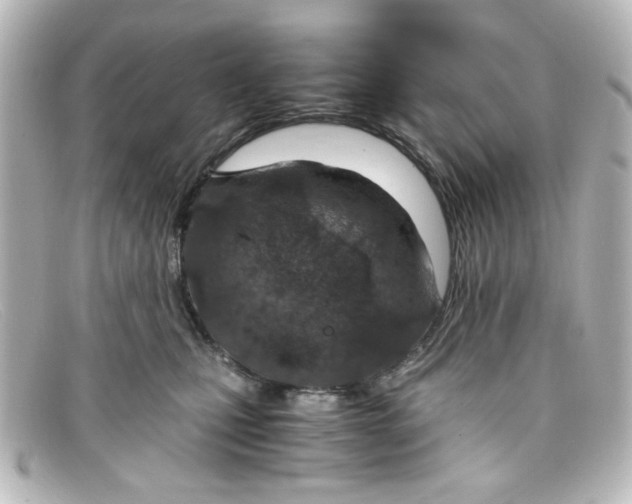 X0000098140471200805081024