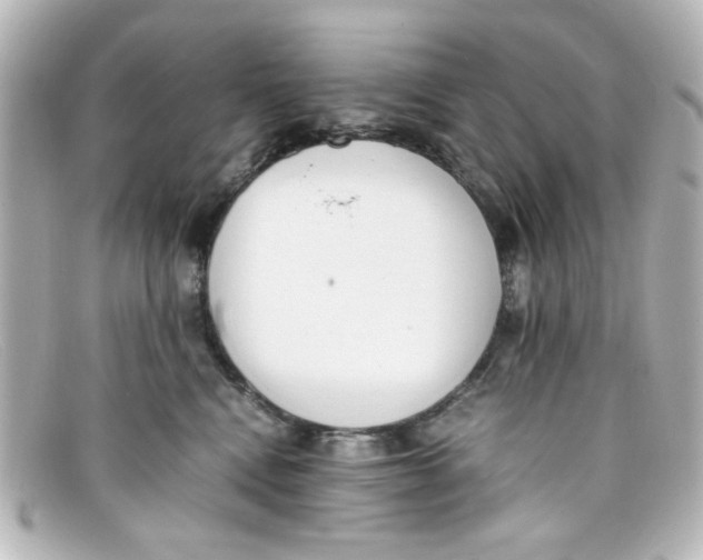 X0000098140472200805081024