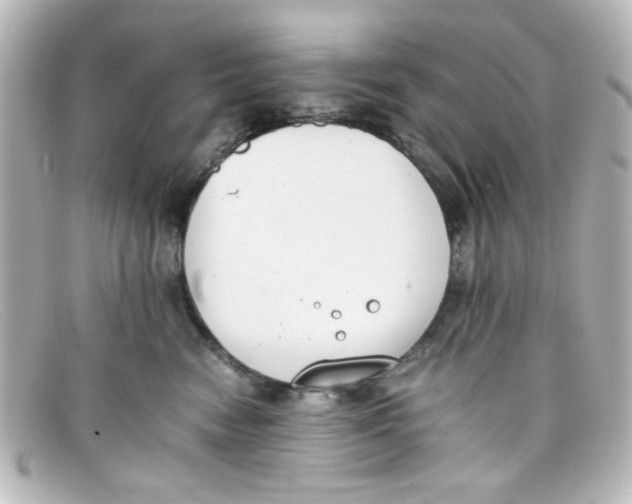 X0000098140474200805081024