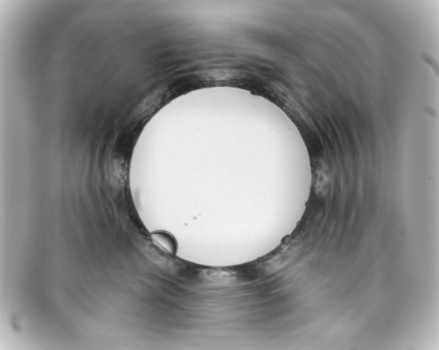 X0000098140476200805081024