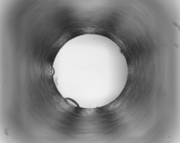 X0000098140479200805081024