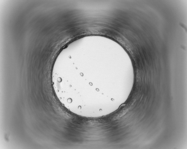 X0000098140481200805081023