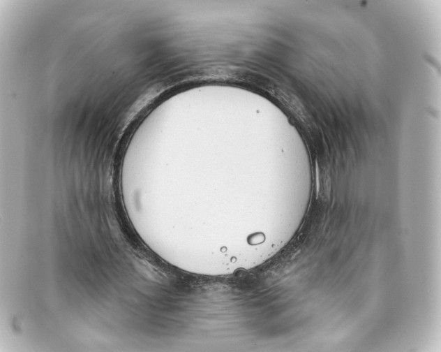 X0000098140483200805081023