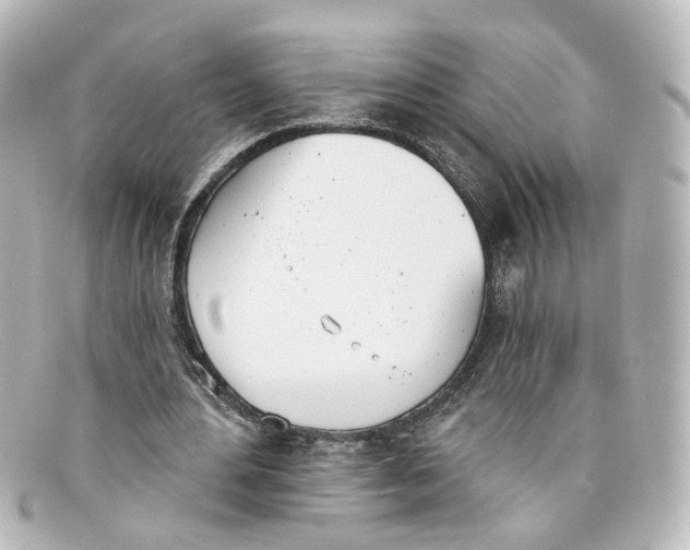 X0000098140484200805081023