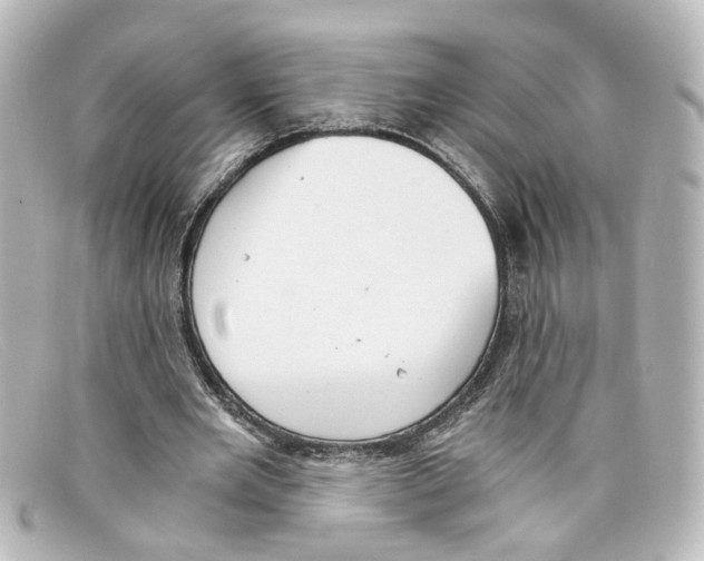 X0000098140485200805081023