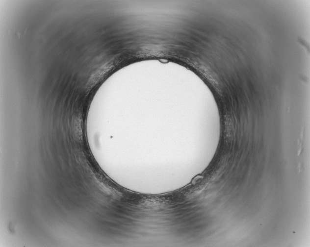 X0000098140489200805081023