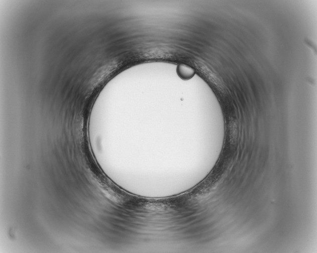 X0000098140490200805081023