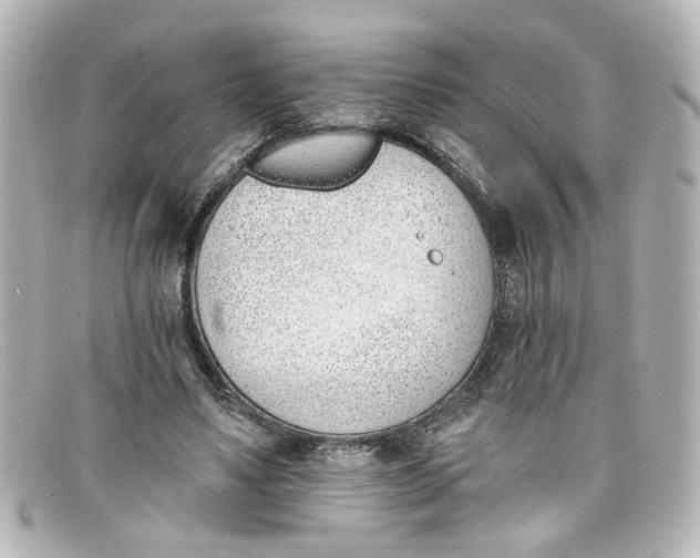 X0000098140491200805081023