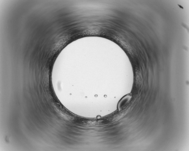 X0000098140493200805081023