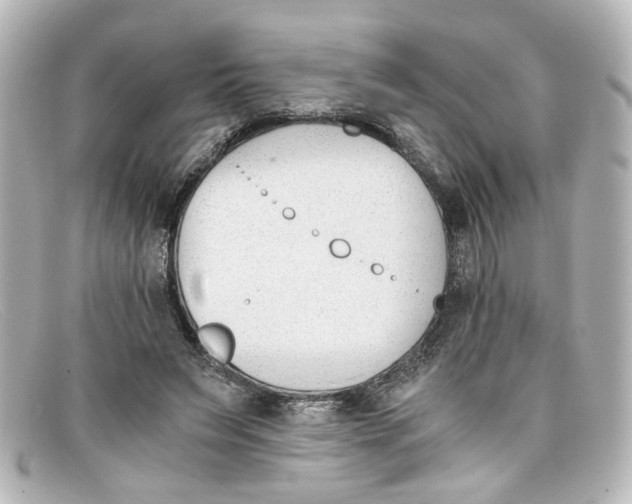 X0000098140495200805081023