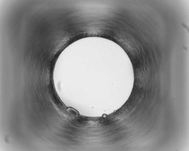 X0000098140496200805081023