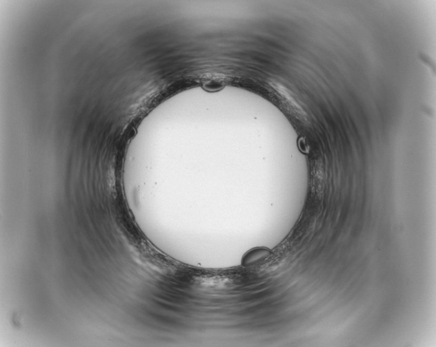 X0000098140500200805081023