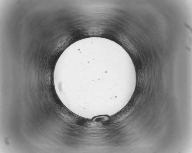 X0000098140501200805081023