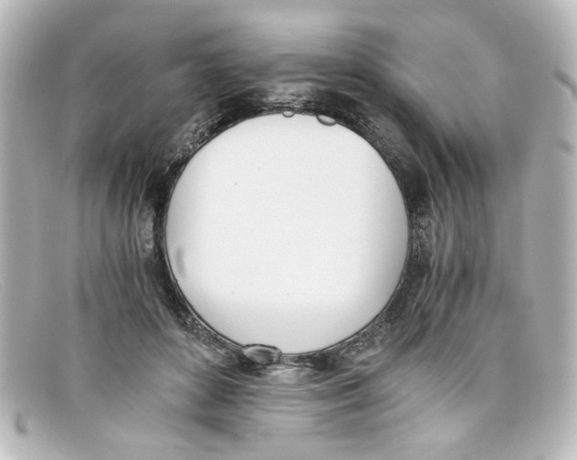 X0000098140504200805081023