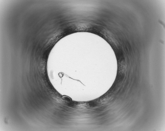 X0000098140505200805081023