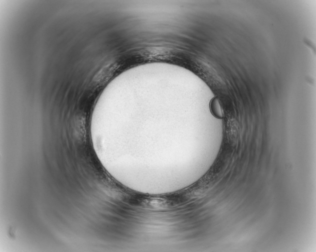 X0000098140506200805081023