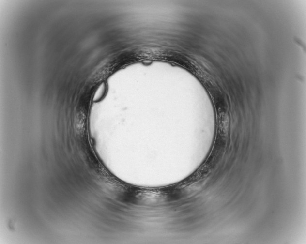 X0000098140507200805081023