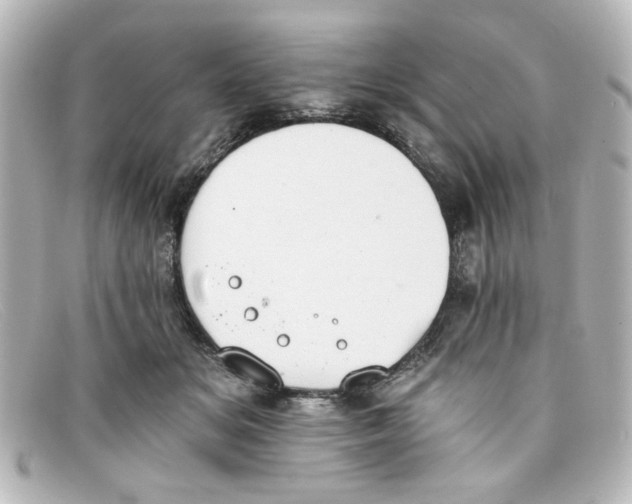 X0000098140509200805081023