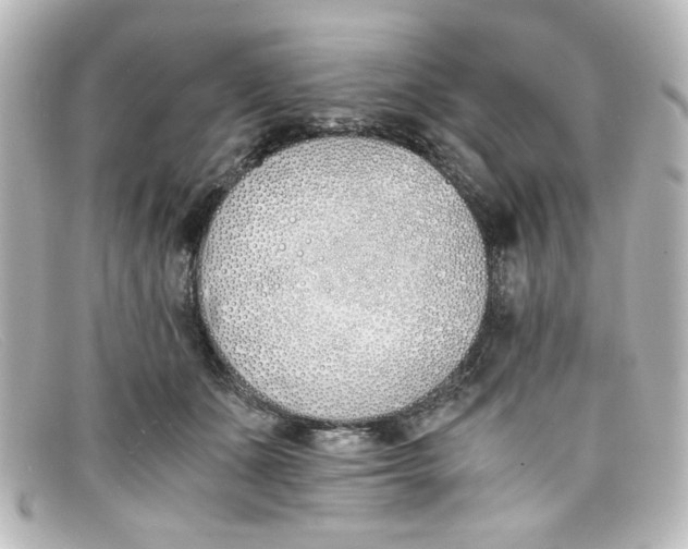 X0000098140511200805081023