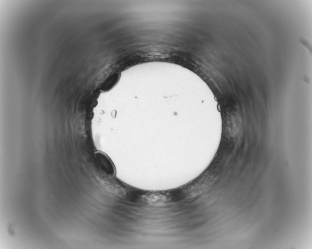 X0000098140512200805081023