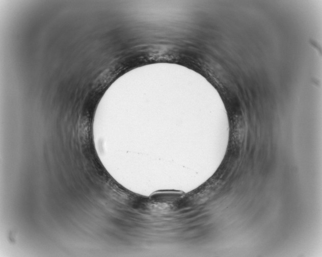 X0000098140513200805081023