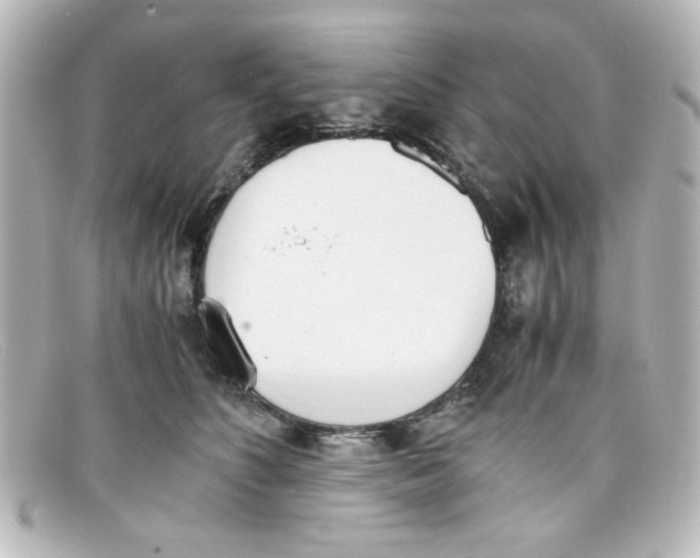 X0000098140516200805081023