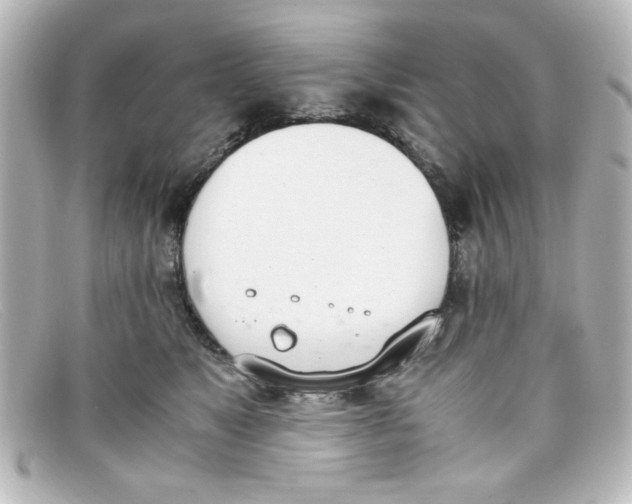 X0000098140517200805081023