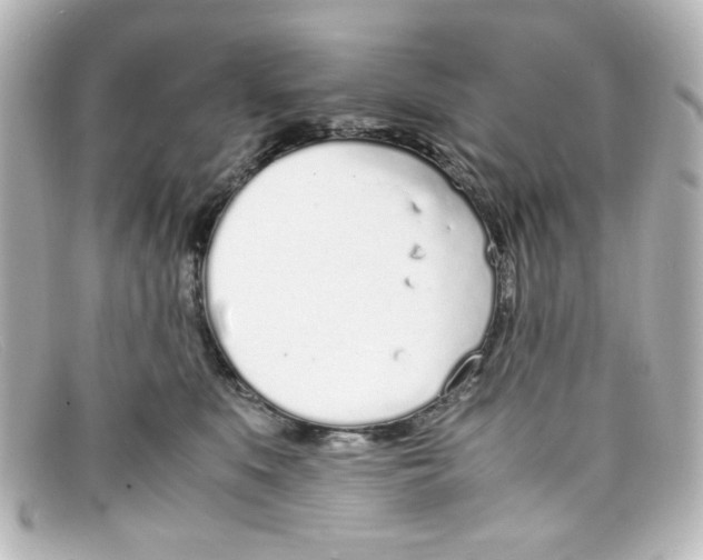 X0000098140519200805081023