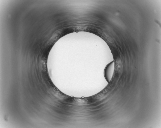 X0000098140522200805081023