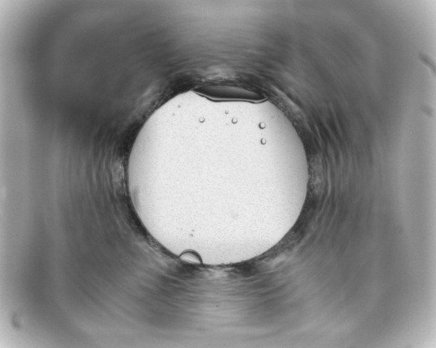 X0000098140523200805081023