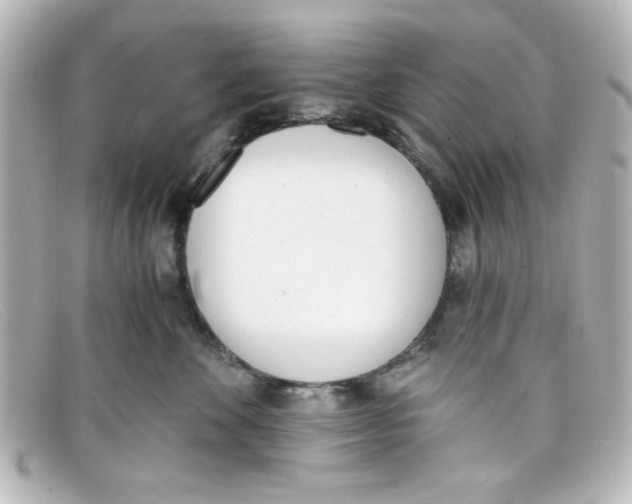 X0000098140524200805081023