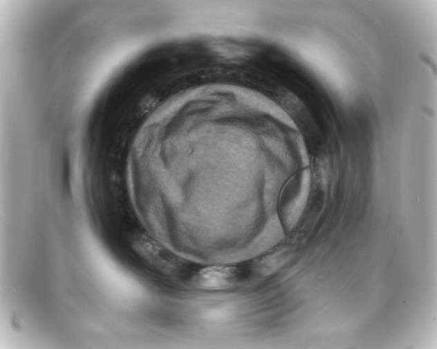 X0000098140526200805081023