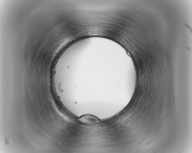 X0000098140530200805081022