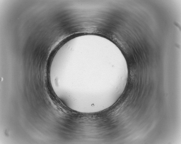 X0000098140532200805081022