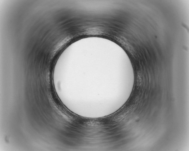 X0000098140535200805081022