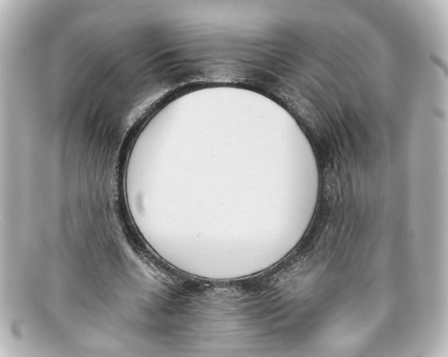 X0000098140536200805081022