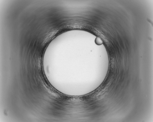 X0000098140537200805081022