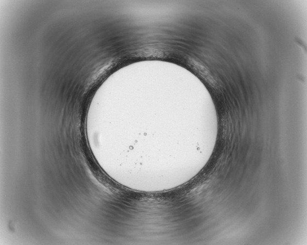 X0000098140538200805081022