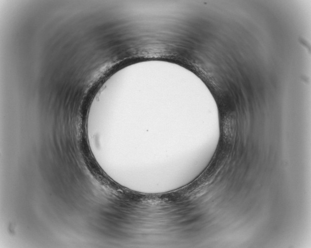 X0000098140540200805081022